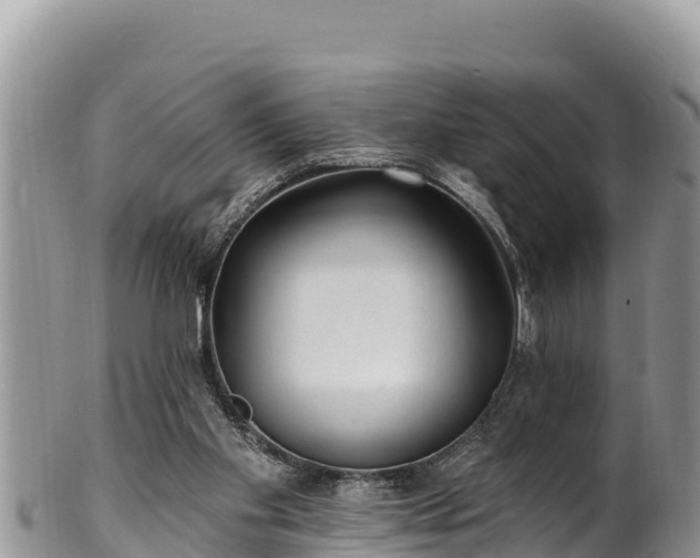 X0000102310109200808011612