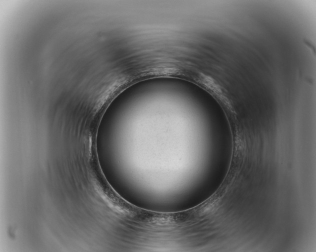 X0000102310110200808011612