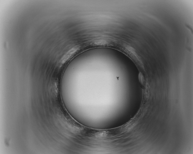 X0000102310116200808011612