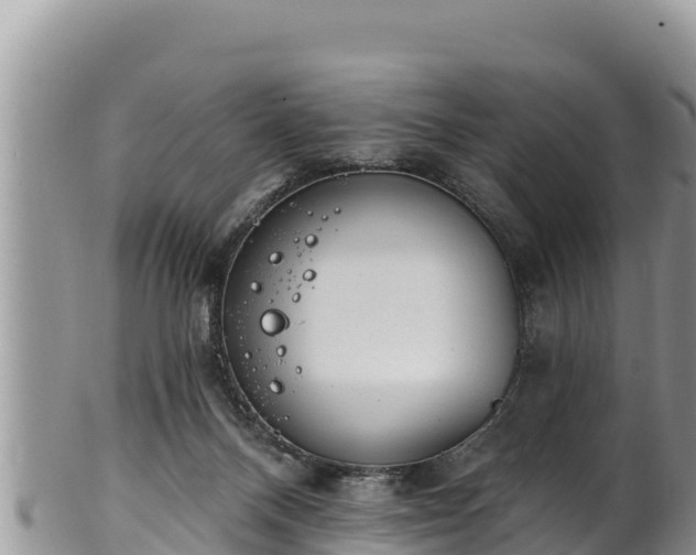 X0000102310120200808011612