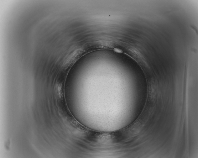 X0000102310123200808011612