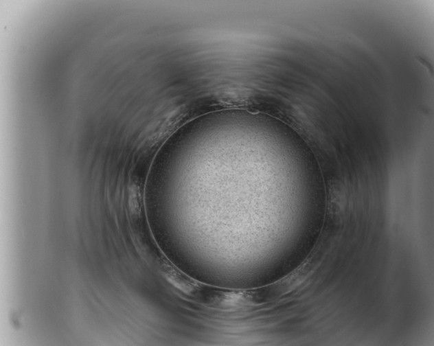 X0000102310130200808011612