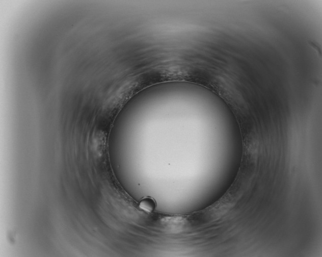 X0000102310133200808011612