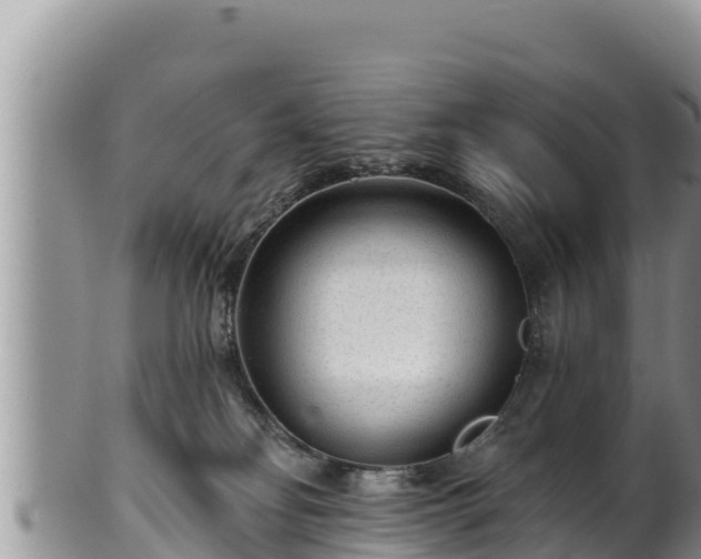 X0000102310134200808011612