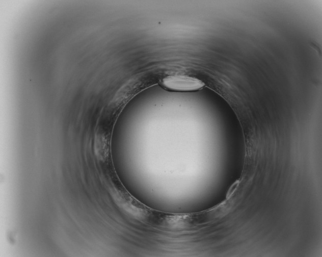 X0000102310136200808011612