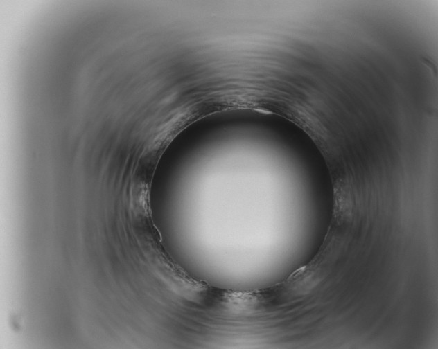 X0000102310141200808011612