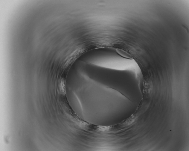 X0000102310143200808011612