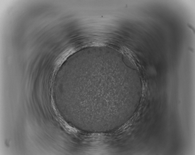 X0000102310145200808011611