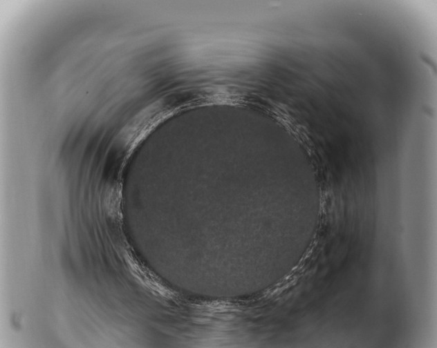 X0000102310146200808011611