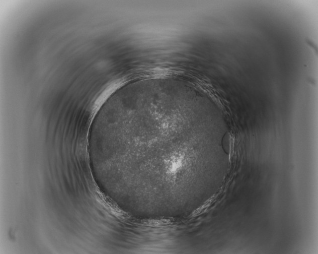 X0000102310147200808011611