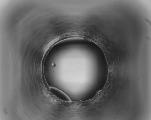 X0000102310148200808011611