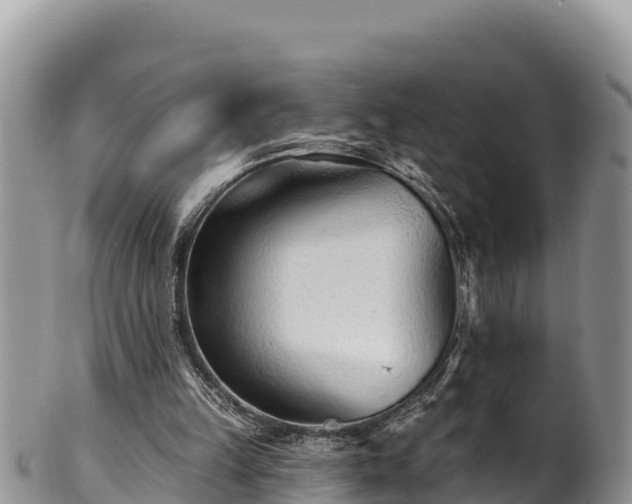 X0000102310149200808011611