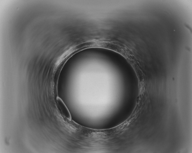 X0000102310150200808011611