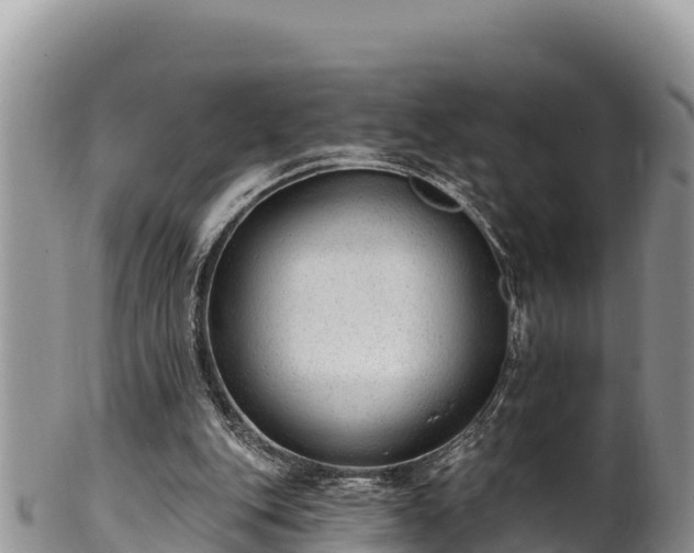 X0000102310151200808011611