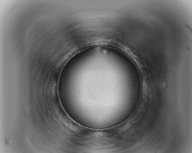 X0000102310153200808011611