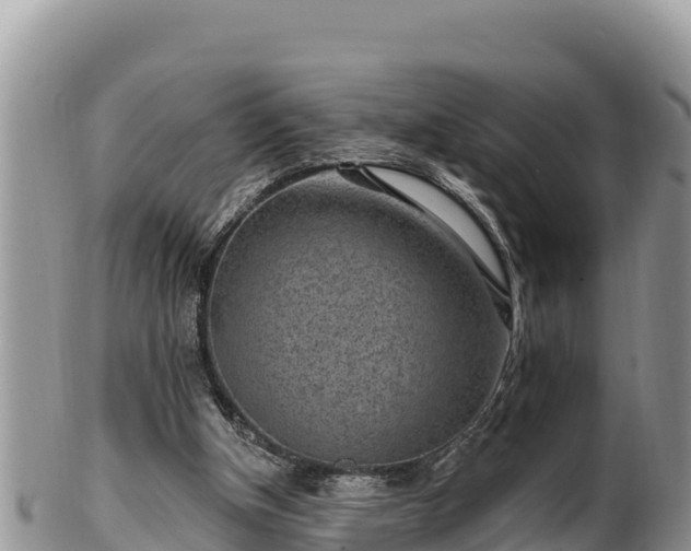 X0000102310154200808011611