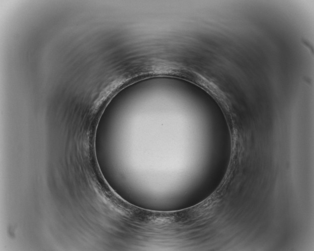 X0000102310155200808011611