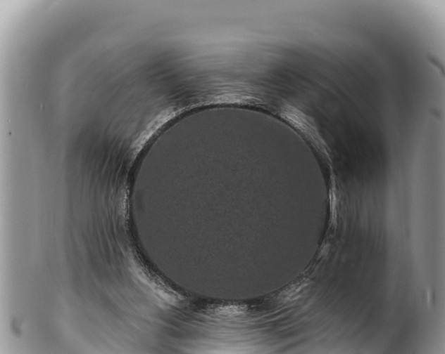 X0000102310156200808011611