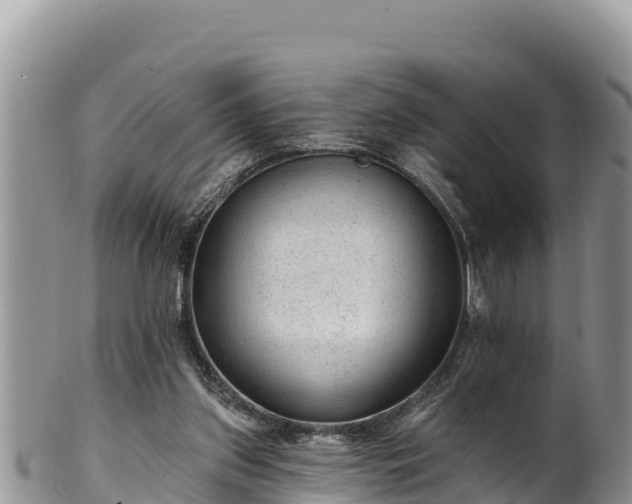 X0000102310157200808011611