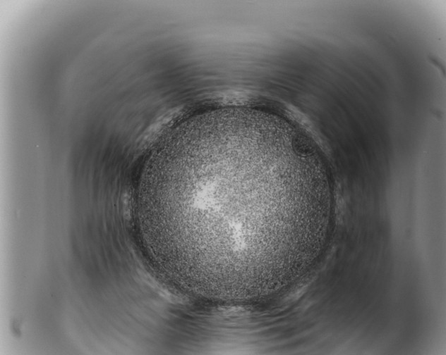 X0000102310161200808011611