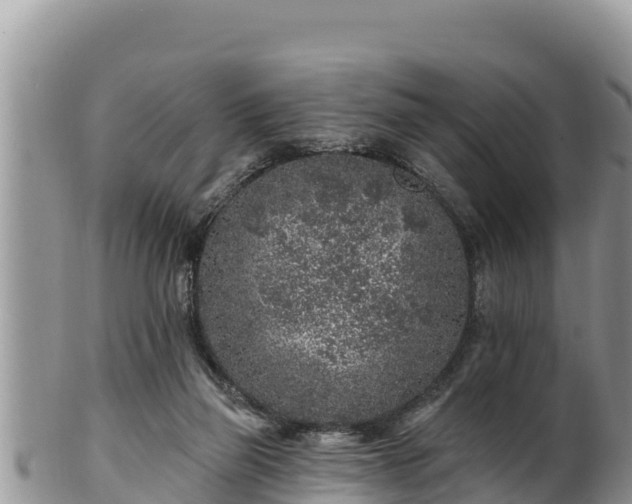 X0000102310165200808011611