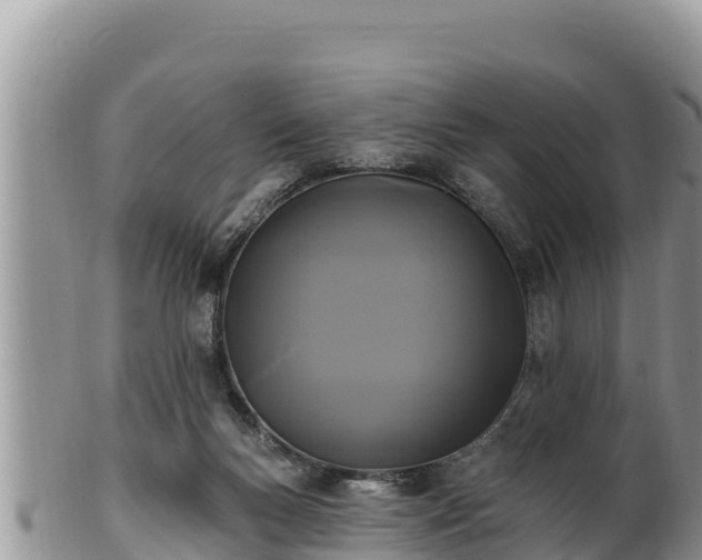 X0000102310167200808011611