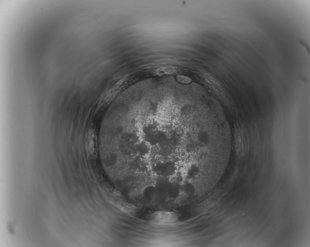 X0000102310169200808011611