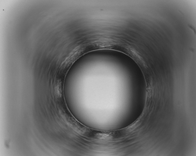 X0000102310170200808011611