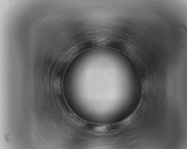 X0000102310178200808011612