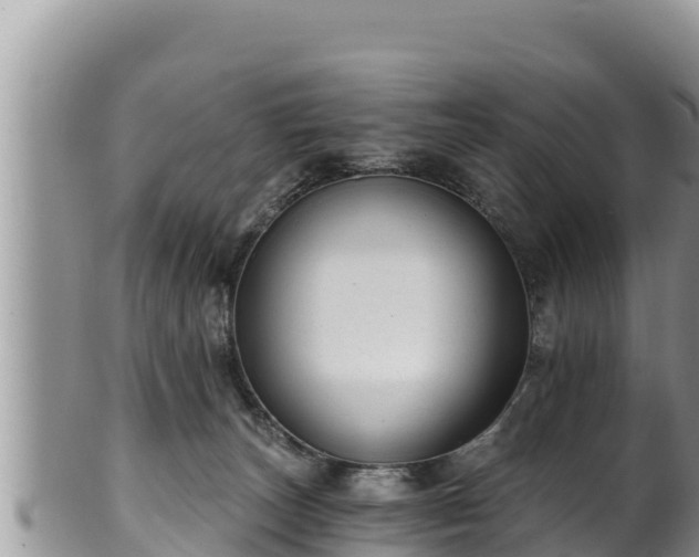 X0000102310179200808011612