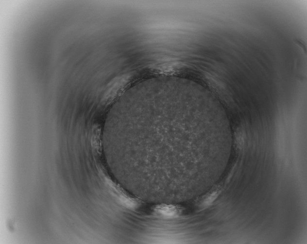 X0000102310181200808011612