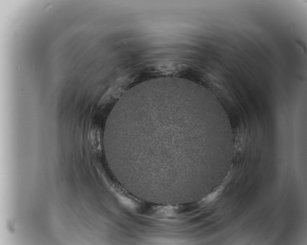 X0000102310182200808011612