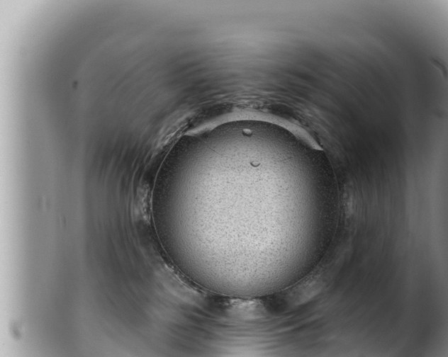 X0000102310185200808011612