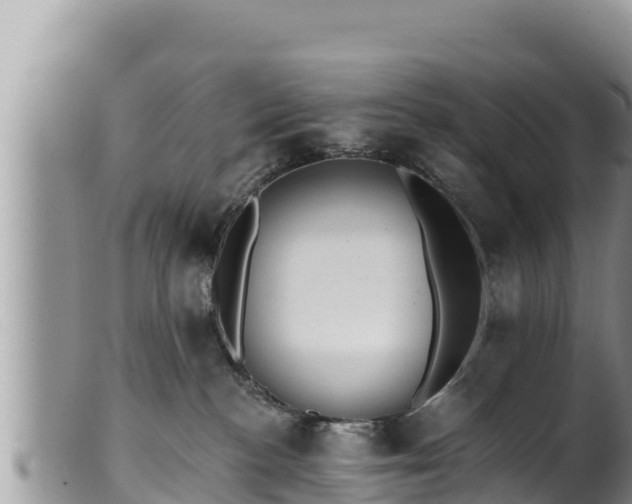 X0000102310188200808011612