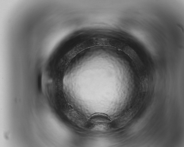 X0000102310189200808011612