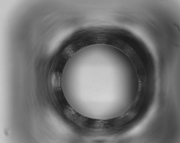 X0000102310190200808011612