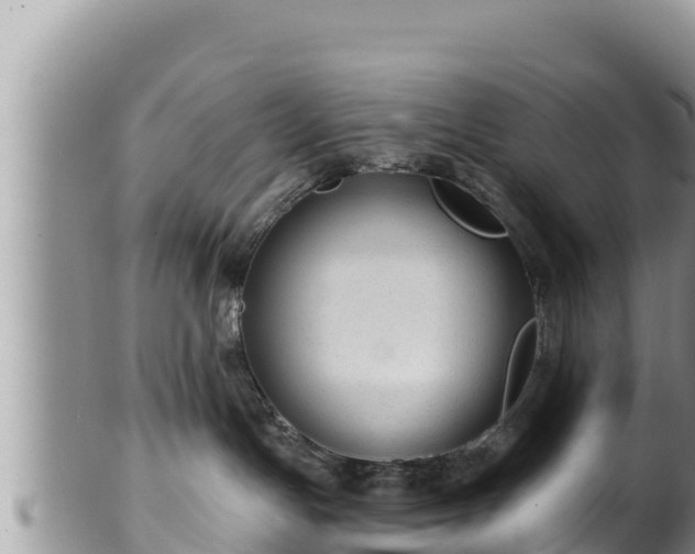 X0000102310191200808011612