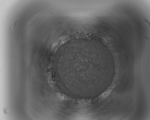 X0000102310192200808011612