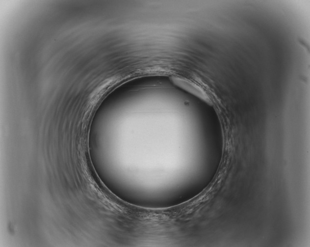 X0000102310193200808011611