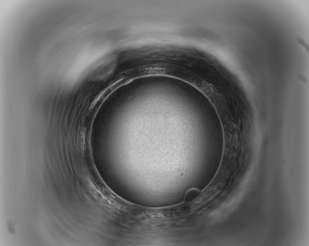 X0000102310194200808011611