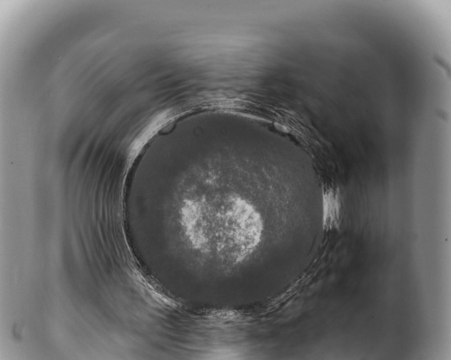 X0000102310195200808011611