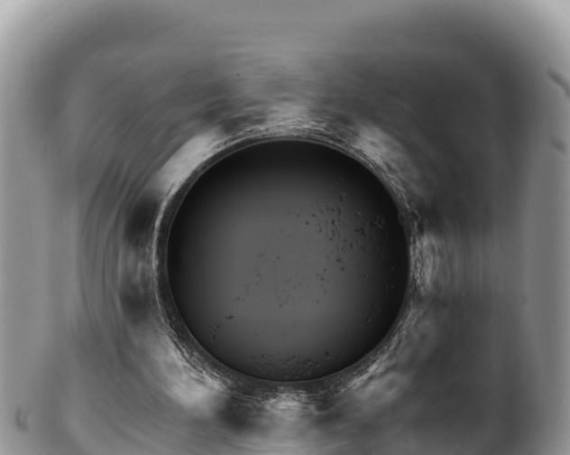 X0000102310196200808011611