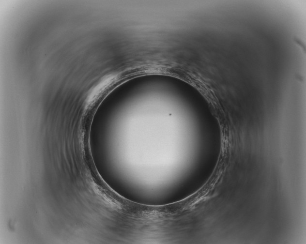 X0000102310197200808011611