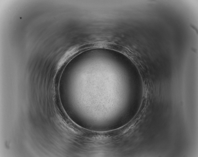 X0000102310198200808011611