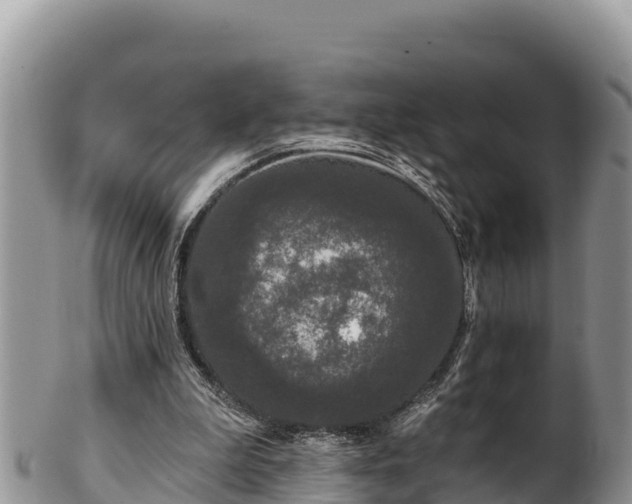 X0000102310199200808011611