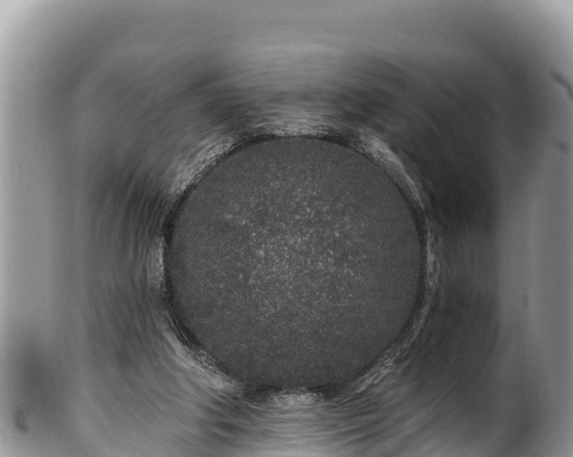 X0000102310202200808011611