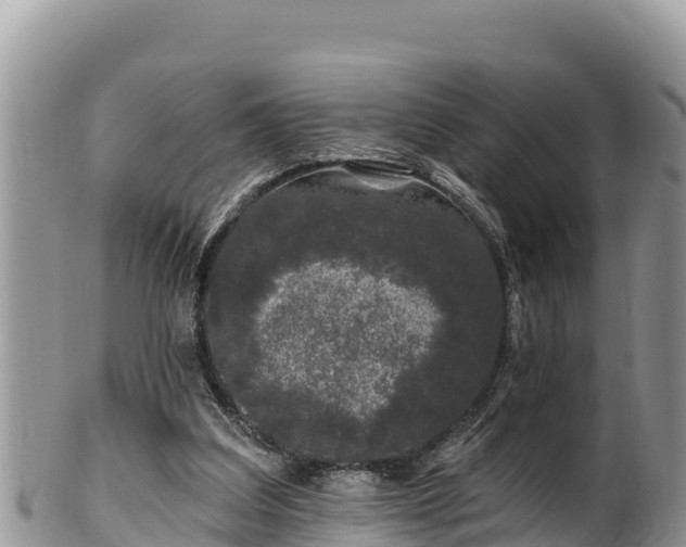 X0000102310203200808011611