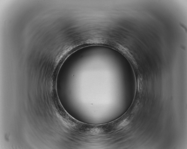 X0000102310204200808011611