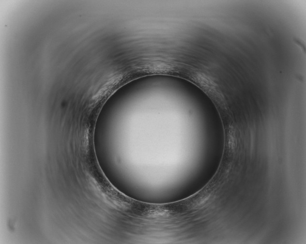 X0000102310206200808011611