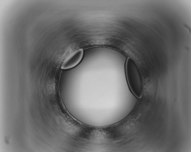 X0000102310207200808011611